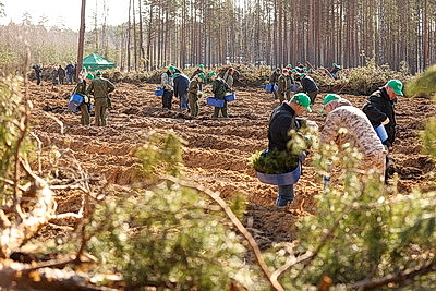 Навести порядок в общем доме. Вольфович об акции \"Лес! Дабро! Парадак!\"