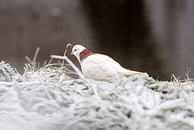 ФОТОХРОНИКА начинает новый информационный день