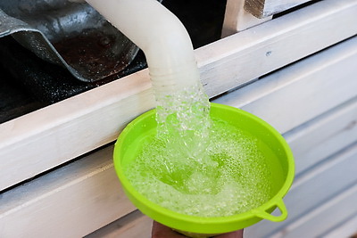 Витаминный напиток с лесной делянки. В Минском лесхозе началась реализация березового сока