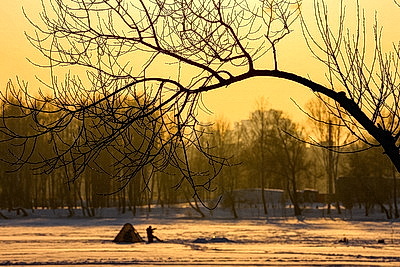 Зимний пейзаж