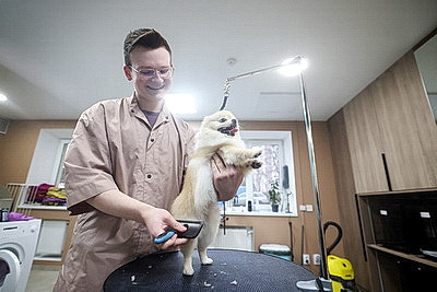 Школьник из Гродно нашел себя в груминге после первой стрижки своего йорка