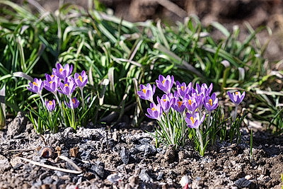 ФОТОХРОНИКА начинает новый информационный день