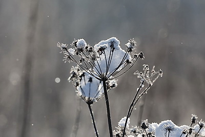 ФОТОХРОНИКА начинает новый информационный день