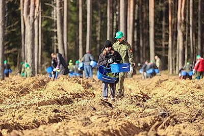 Навести порядок в общем доме. Вольфович об акции \"Лес! Дабро! Парадак!\"
