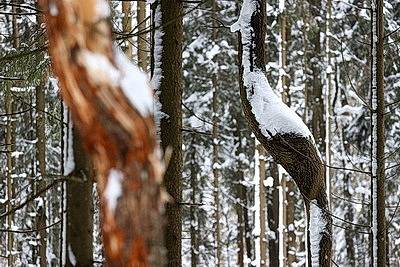 ФОТОХРОНИКА начинает новый информационный день