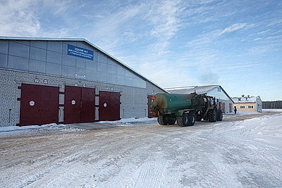 В тепле и с дополнительными порциями молока: как в Могилевской области содержат телят в морозы