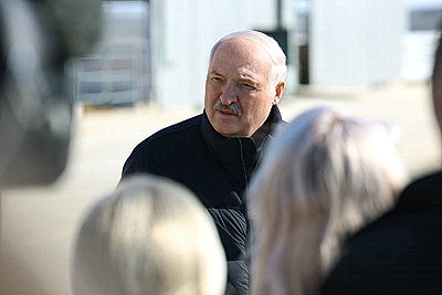 Лукашенко ознакомился с развитием мясного скотоводства и молочной отрасли