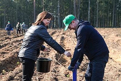 Члены Совета Республики приняли участие в акции \"Лес! Дабро! Парадак!\" в Столбцовском районе