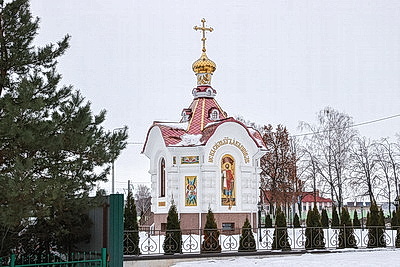 В Гомеле прошел митинг в честь 37-й годовщины вывода советских войск из Афганистана