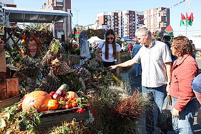 Тыква весом 263 кг, соломенные фотозоны и ярмарка. В Бресте прошел фестиваль \"Дары осени\"