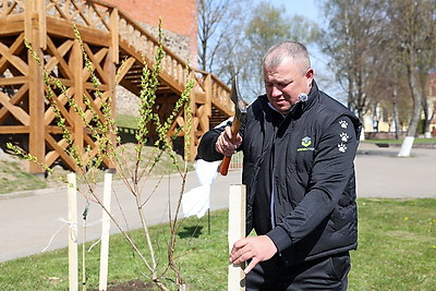 \"БлогБай. Маёвка\". Слет блогеров проходит в Лидском районе