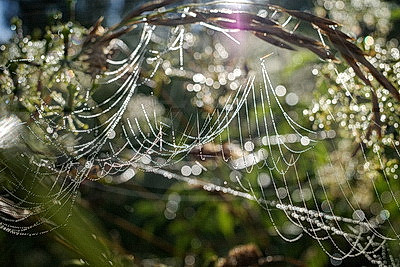 ФОТОХРОНИКА начинает новый информационный день