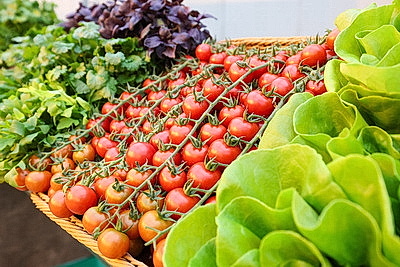 Круглый год в магазинах! Как выращивают овощи в тепличном хозяйстве \"ДОРОРС\"