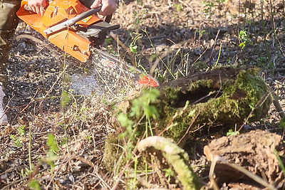 Республиканский субботник: брестчане трудились на территории Брестской крепости