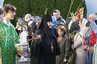 Православные верующие отметили Вербное воскресенье