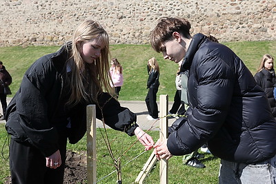 \"БлогБай. Маёвка\". Слет блогеров проходит в Лидском районе