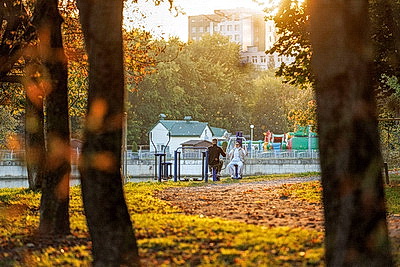 Солнечные дни осени