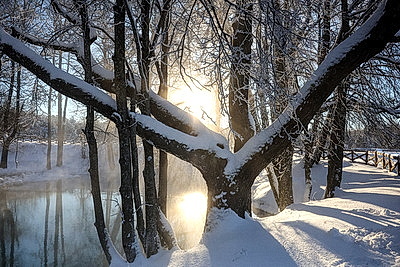 ФОТОХРОНИКА начинает новый информационный день