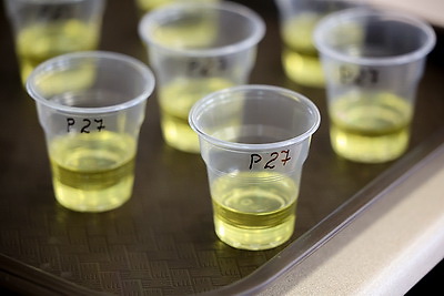 Ученый: рапсовое масло входит в тройку лучших растительных масел для питания человека