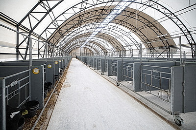 Лукашенко совершил рабочую поездку в Петриковский район