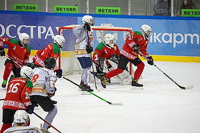\"Огненные рыси\" из Гомельского района выиграли \"старший\" финал \"Золотой шайбы\" в дивизионе \"Б\"