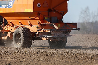 В Минской области весенний сев начали с ярового ячменя