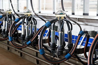 Кочанова ознакомилась с деятельностью ОАО \"Парохонское\"