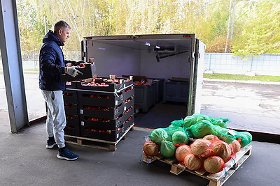 В стабфонды Минска уже заложили весь объем яблок и 40% картофеля