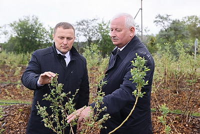 Пархомчик посетил фермерские хозяйства в Каменецком и Брестском районах