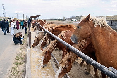 40 лет со дня аварии на ЧАЭС. Журналисты в рамках пресс-тура посетили Хойникский район