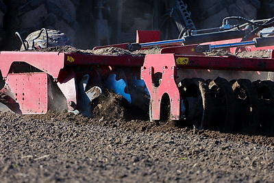 В Минской области весенний сев начали с ярового ячменя