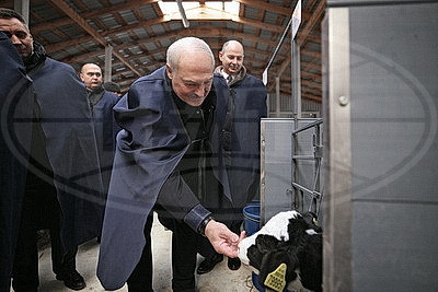 Лукашенко посетил МТК в Логойском районе