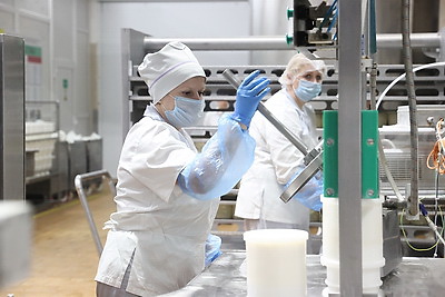 Модернизация производств, инвестиции, туризм. Ломский о точках роста Брестской области