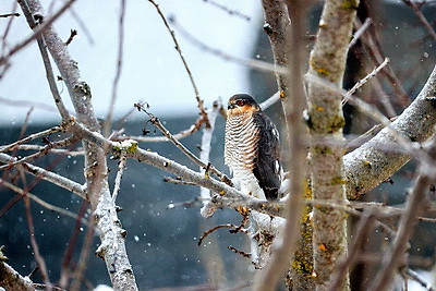 ФОТОХРОНИКА начинает новый информационный день