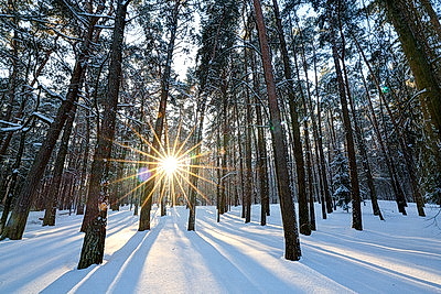 Зимний пейзаж