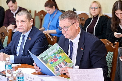 От \"Библиобочки\" до \"Небесной дороги\". Какие гражданские инициативы предлагают в Гомельской области