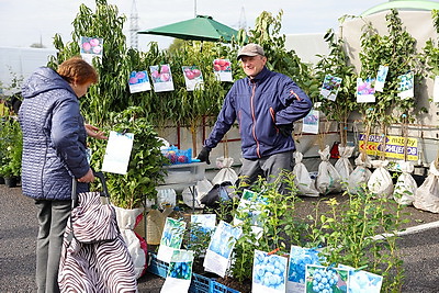 Волонтеры БРСМ помогают пенсионерам с доставкой продукции с сельхозярмарок