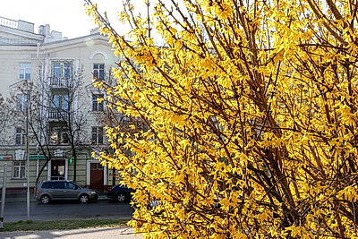 ФОТОХРОНИКА начинает новый информационный день