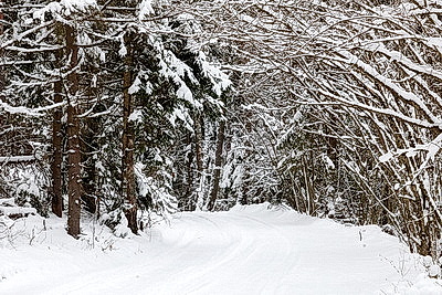 Снежный зимний день
