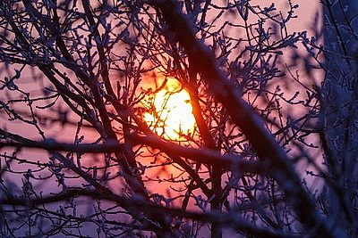 ФОТОХРОНИКА начинает новый информационный день