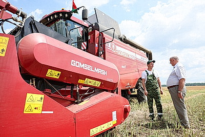 \"Урожай порядка 30 ц/га\". Уборка озимого рапса в Мозырском районе