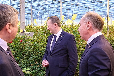 Круглый год в магазинах! Как выращивают овощи в тепличном хозяйстве \"ДОРОРС\"