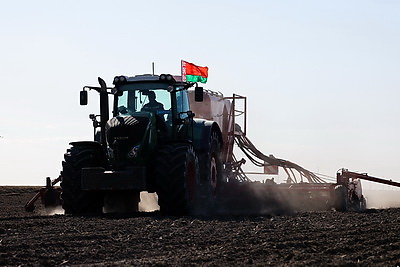 В Минской области весенний сев начали с ярового ячменя