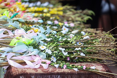 Католики отпраздновали Вход Господень в Иерусалим