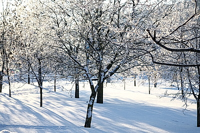 Солнечный январский день в Минске