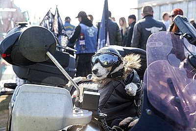 Рев мотора, блеск хрома и невероятная скорость. В Бресте торжественно открыли мотосезон-2026