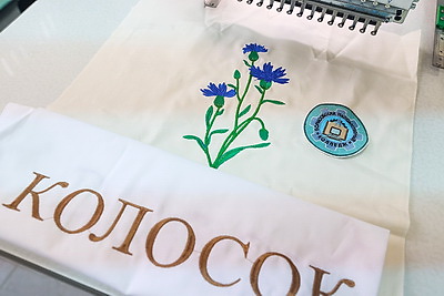 Перцов встретился с педагогами и учащимися Борисовского государственного колледжа
