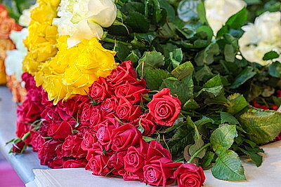 Круглый год в магазинах! Как выращивают овощи в тепличном хозяйстве \"ДОРОРС\"