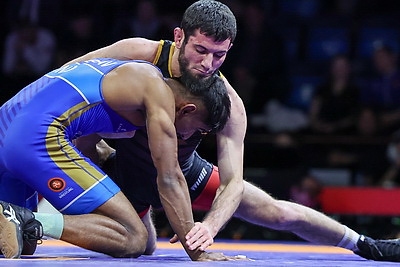 Турнир по вольной борьбе памяти Медведя прошел в Минске