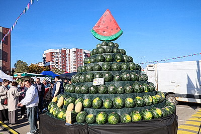 Тыква весом 263 кг, соломенные фотозоны и ярмарка. В Бресте прошел фестиваль \"Дары осени\"